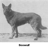 Beowulf