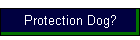 Protection Dog?