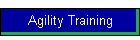 Agility Training