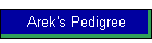 Arek's Pedigree