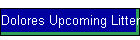 Dolores Upcoming Litter
