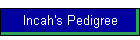 Incah's Pedigree