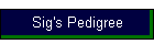 Sig's Pedigree