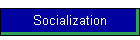 Socialization