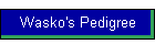 Wasko's Pedigree